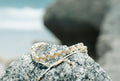 PRE-ORDER gold pearl